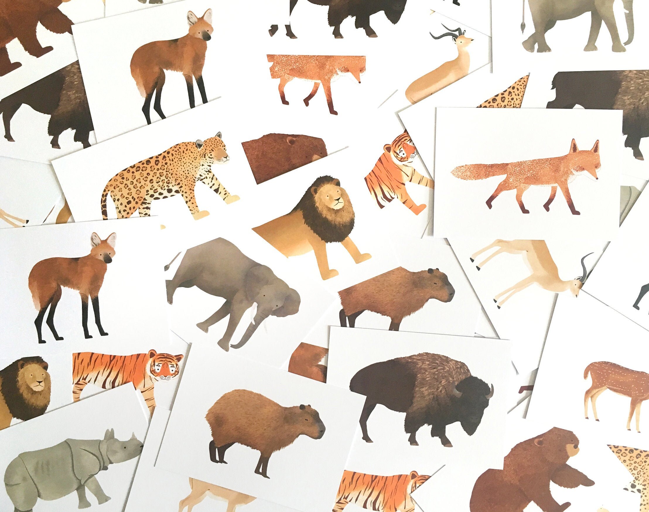 Buy Animal Postcards A6 Size Animal Illustration Small Prints Online in India - Etsy Buy Animal Postcards A6 Size Animal Illustration Small Prints Online in India - Etsy