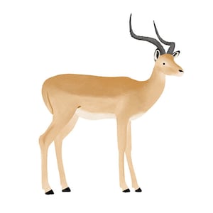 Cartão postal Impala - antílope africano, ilustração de animal de zoológico, decoração de berçário, presente infantil - animal de safari africano