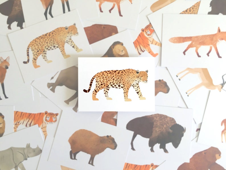 Cartão postal Jaguar - Animal da selva sul-americana - Gato grande, presente infantil, animal safari, decoração de berçário, estampa de animal de zoológico imagem 2