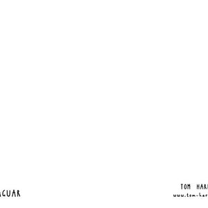 Cartão postal Jaguar - Animal da selva sul-americana - Gato grande, presente infantil, animal safari, decoração de berçário, estampa de animal de zoológico imagem 4