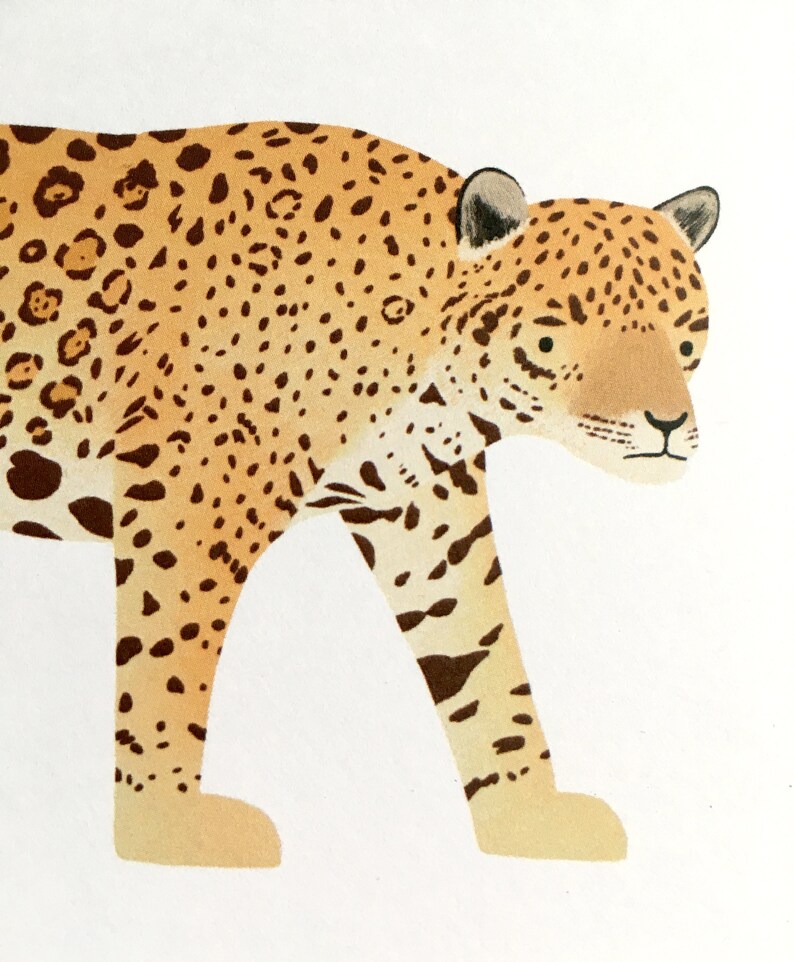 Cartão postal Jaguar - Animal da selva sul-americana - Gato grande, presente infantil, animal safari, decoração de berçário, estampa de animal de zoológico imagem 3
