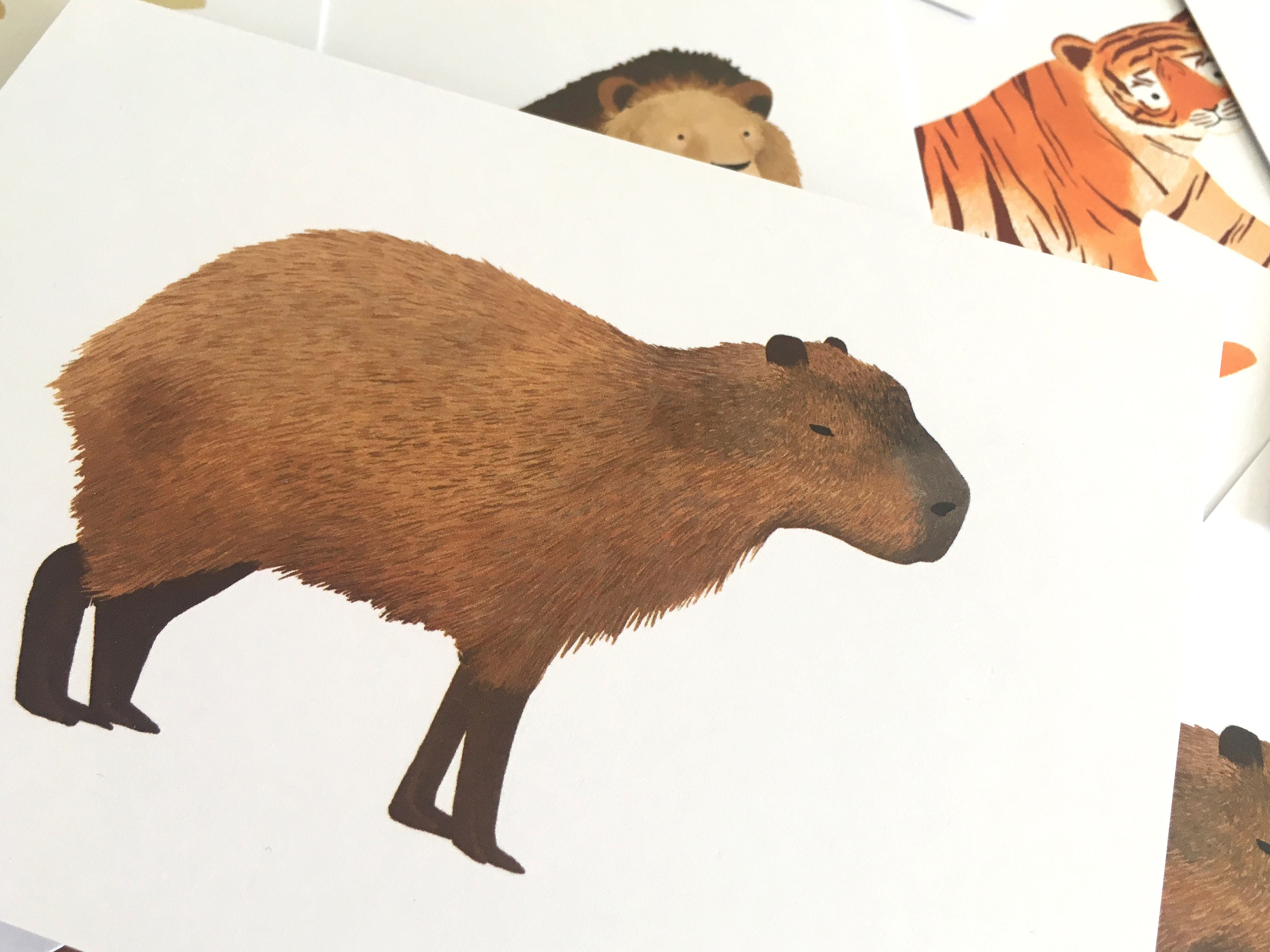 Buy Capybara Postcard Animal Illustration, Cute South American Animal,  Small Children's Gift, Home Decor, Animal Lover Art Card Online in India 