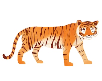 Cartão postal tigre - ilustração animal, presente infantil, impressão de animal da selva, impressão de decoração de berçário, animal de zoológico