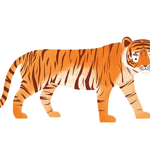 Tiger Postcard Animal Illustration Kid's Gift Jungle - Etsy