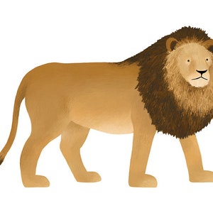 Carte postale lion - illustration d'animaux d'Afrique, cadeau pour enfant, animal de safari, décoration de chambre d'enfant, imprimé animal de zoo