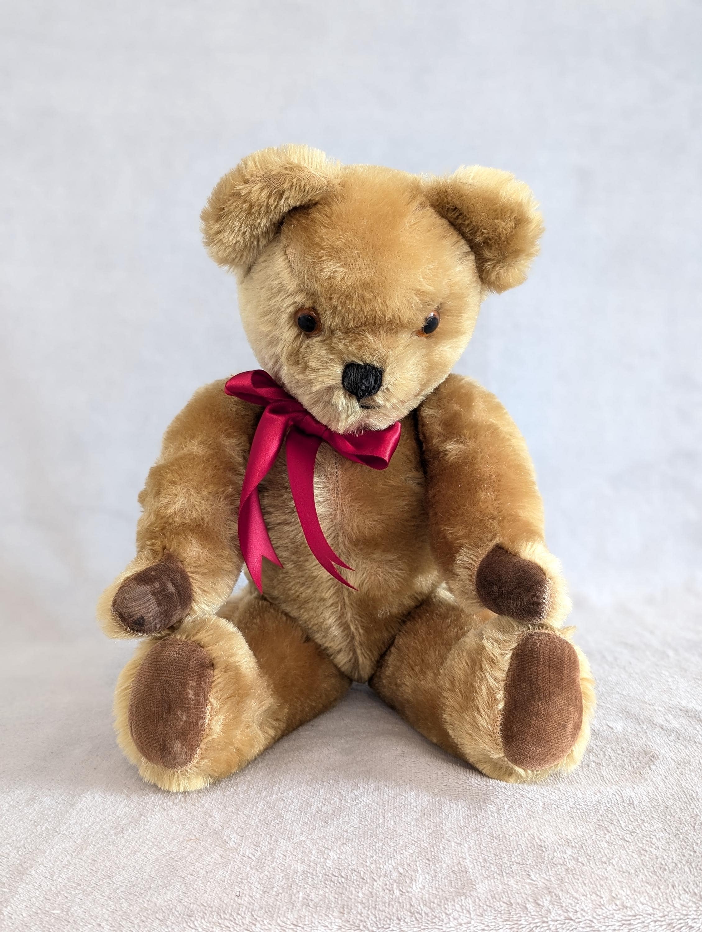 Pedigree Teddy Bear - Etsy UK