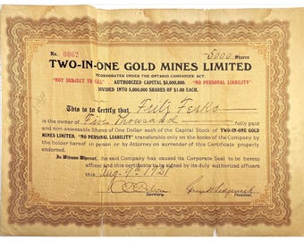 Certificado de acciones de Two In One Gold Mines Limited, 1921, n.º 0062, acciones mineras antiguas, objetos de colección de inversión de la década de 1920