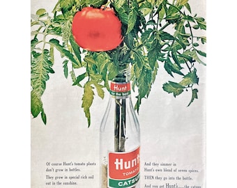 1963 Hunt's Catsup Vintage Print Ad Retro Ketchup Memorabilia Hunt's Advertisement Kitchen Food Wall Art