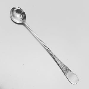 May include: A silver-colored bar spoon with a long, slender handle and a small, rounded bowl. The handle features decorative etched patterns near the spoon's end. The spoon is designed for mixing drinks.
