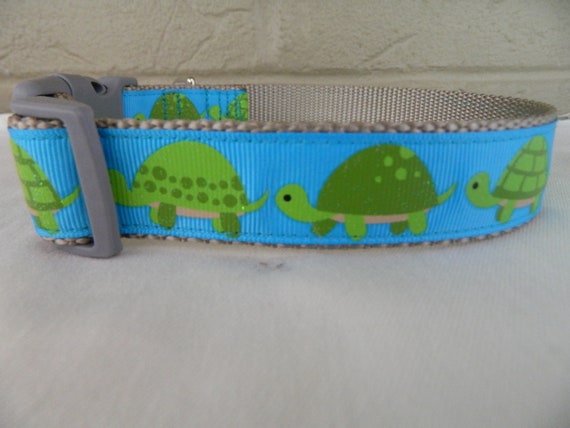 turtle dog collar