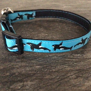Orca Whale Kitten/ Cat Collar