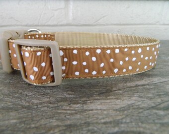 salt dog collars