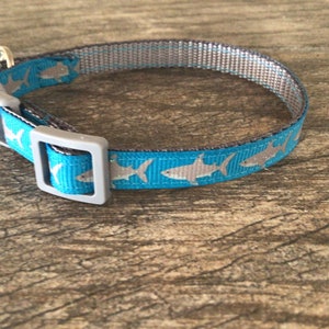 Shark Kitten / Cat Collar