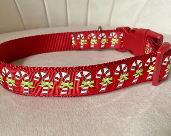 Christmas Candy Canes on Red Dog Collar