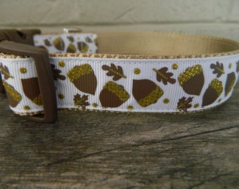 May include: White dog collar with a brown and gold acorn pattern. The acorns have gold glitter on them.