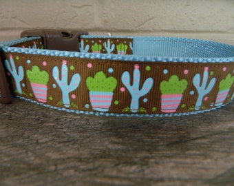 Succulent Dog Collar