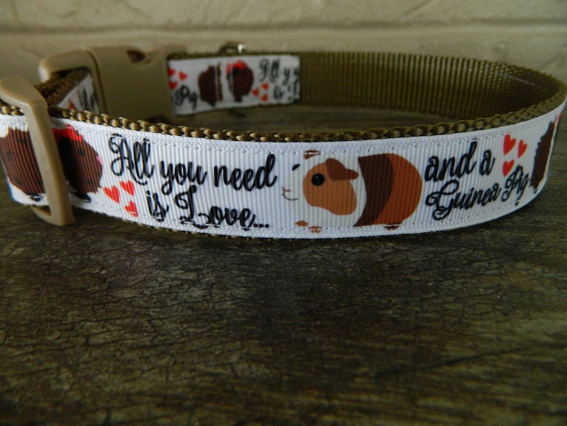 guinea pig collar and leash