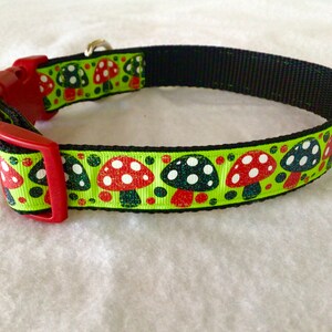 Collar de perro de setas