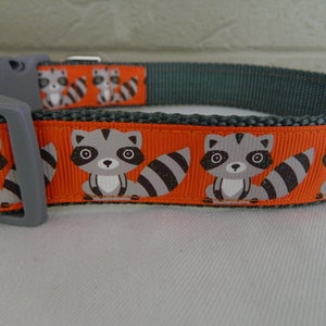 May include: A gray and orange dog collar with a repeating pattern of raccoons. The raccoons are gray with black eyes and black stripes on their tails.