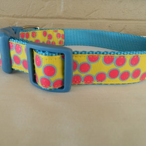 Hot Pink/Bright Yellow/Bright Blue Super Dot Dog Collar