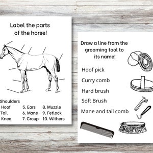 May include: A black and white illustration of a horse with labels for different body parts.  The image also shows a variety of grooming tools with labels: hoof pick, curry comb, hard brush, soft brush, and mane and tail comb.
