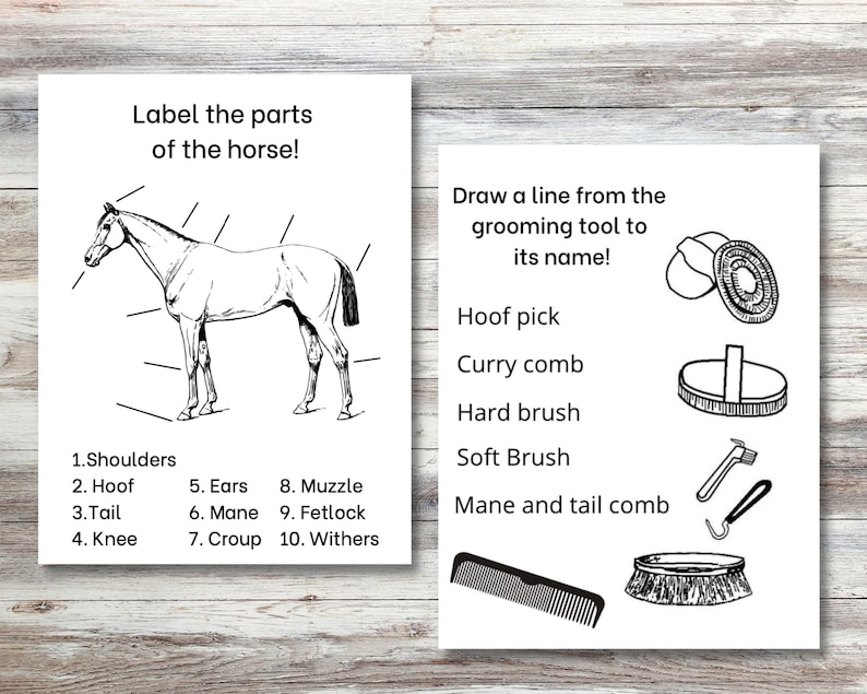 May include: A black and white illustration of a horse with labels for different body parts.  The image also shows a variety of grooming tools with labels: hoof pick, curry comb, hard brush, soft brush, and mane and tail comb.
