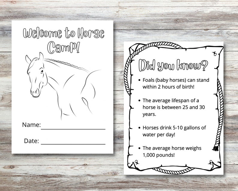 May include: A black and white printable colouring page featuring a horse with the text "Welcome to Horse Camp!" and a section for a name and date. The page also includes fun facts about horses, such as their lifespan and how much water they drink.