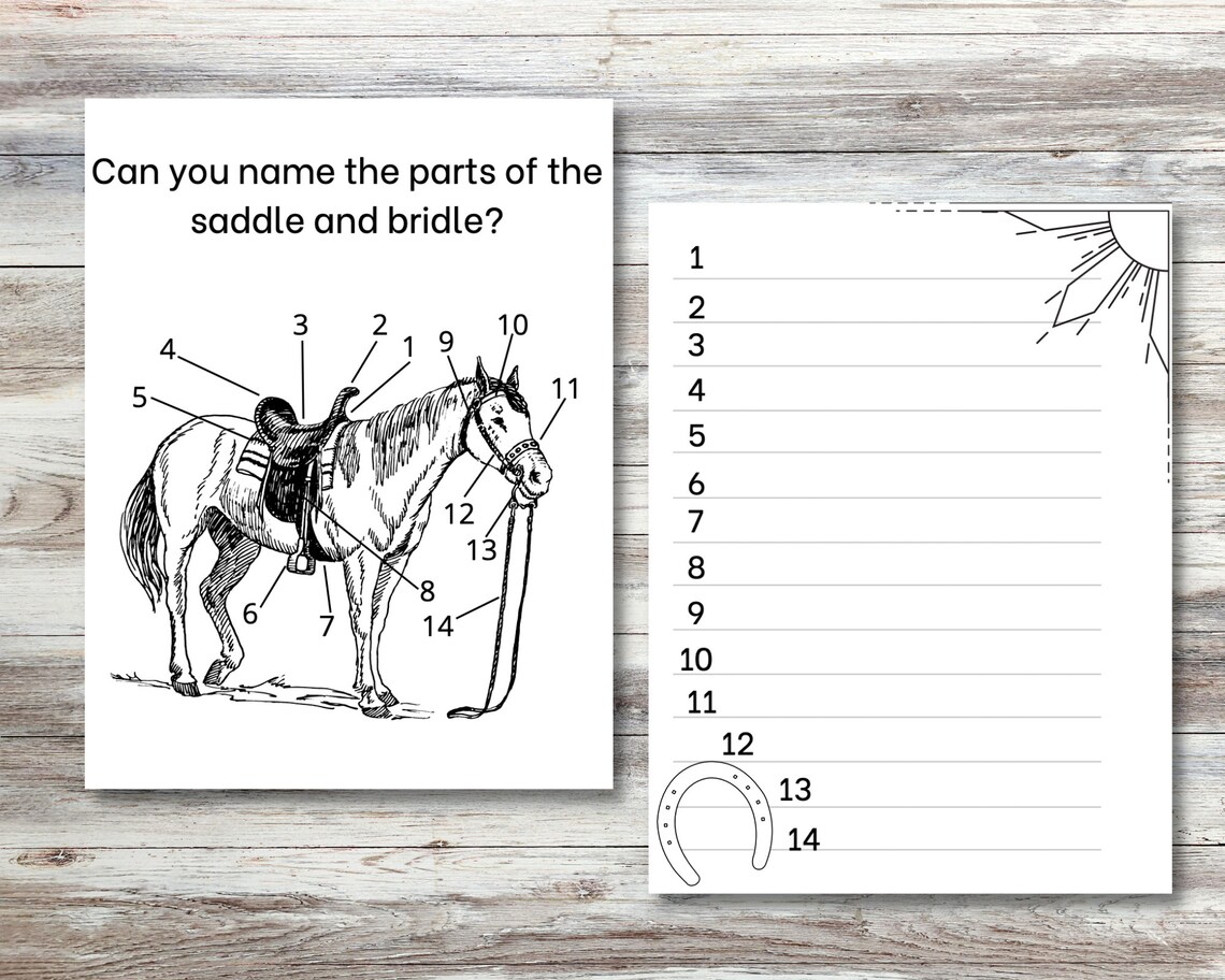 Printable Horse Camp Coloring&amp;activity Booklet for Kids, Camp Activity ...
