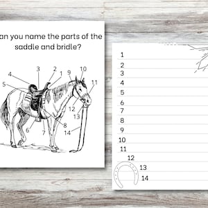 May include: A black and white line drawing of a horse with a saddle and bridle. The drawing is labelled with numbers 1 through 14, and the caption asks "Can you name the parts of the saddle and bridle?"