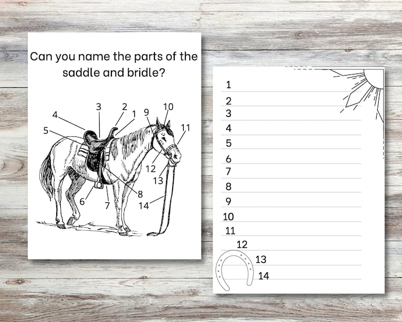 May include: A black and white line drawing of a horse with a saddle and bridle. The drawing is labelled with numbers 1 through 14, and the caption asks "Can you name the parts of the saddle and bridle?"