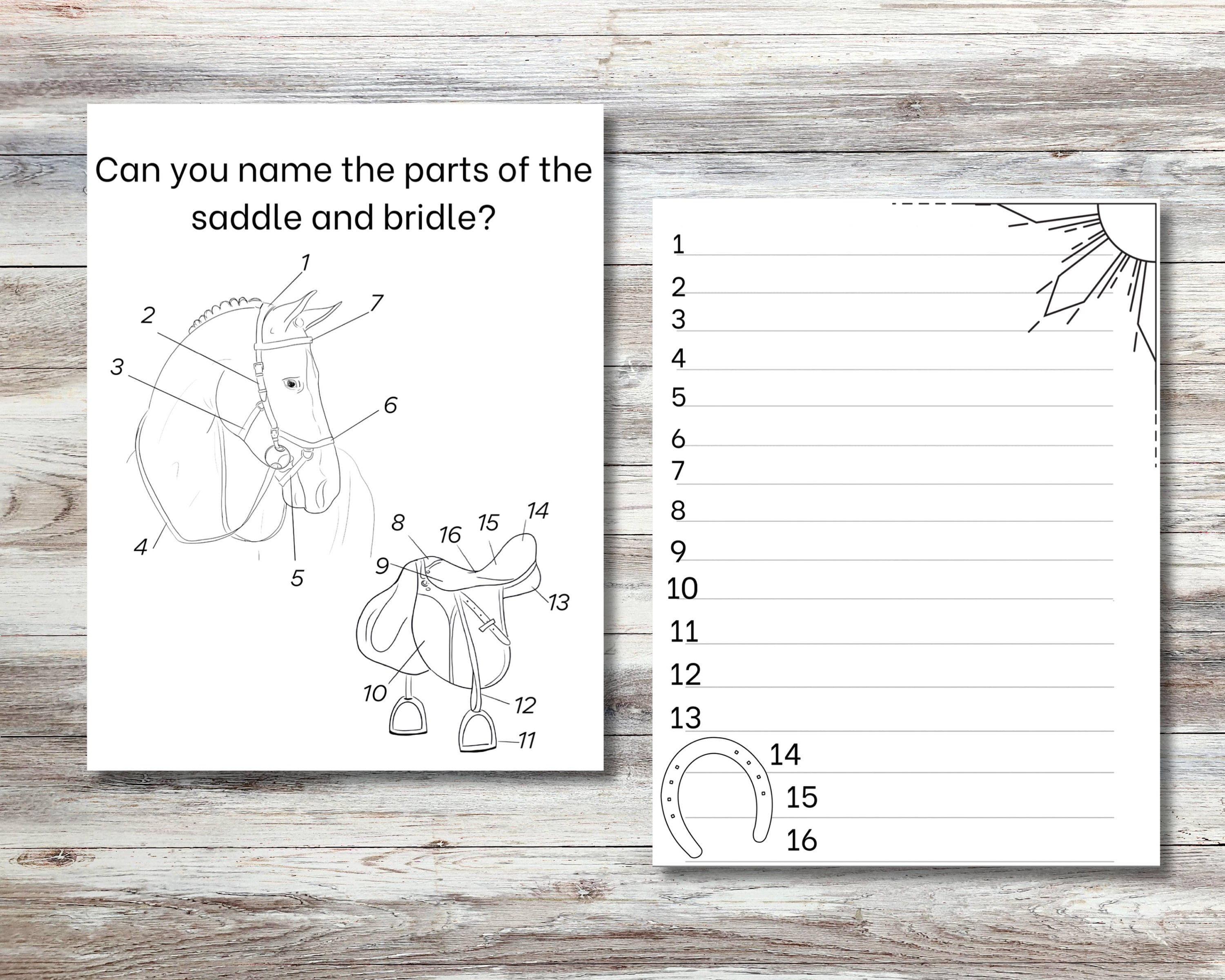Printable Horse Camp Coloring&amp;activity Booklet for Kids, Camp Activity ...