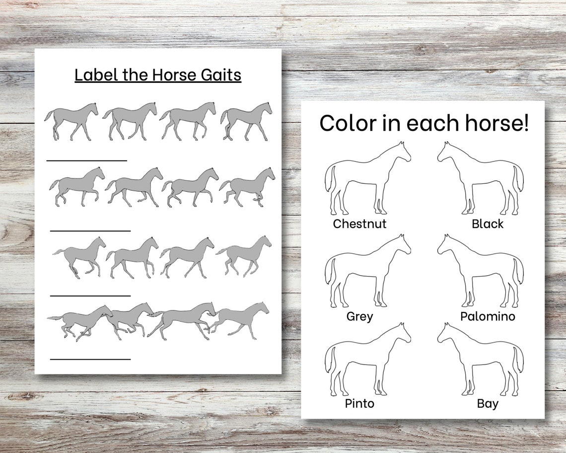 Printable Horse Camp Coloring&amp;activity Booklet for Kids, Camp Activity ...
