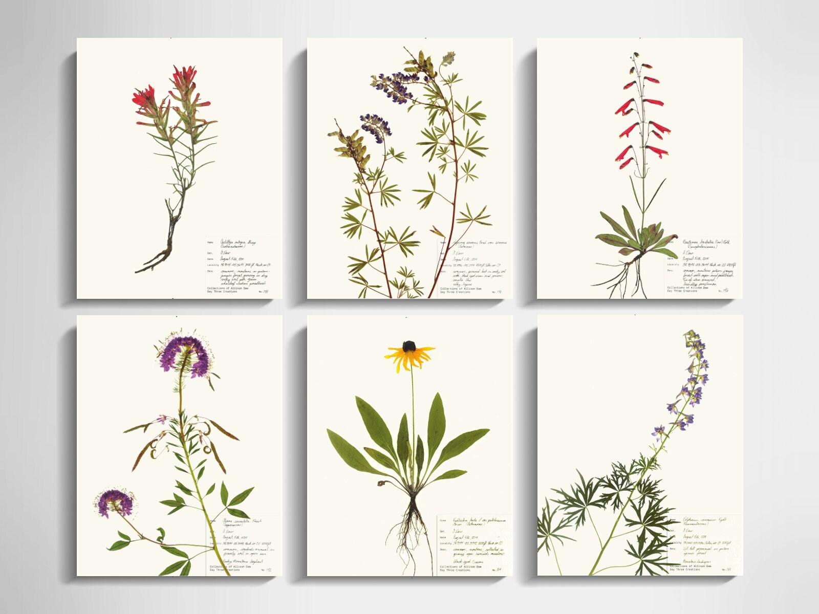 The Love Collection - Sticker Bundle - Weeds and Wildflowers Supply