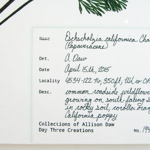 May include: A handwritten label with the name "Eschscholzia californica Cham. (Papaveraceae)" and details about the plant, including the date "April 15th, 2015", the locality "45.34-122.16; 350ft; Wl co. OR", and a description of the plant as a "common roadside wildflower; growing on south-facing slope in rocky soil; corolla orange. California poppy". The label also includes the text "Collections of Allison Daw Day Three Creations No. 194a".
