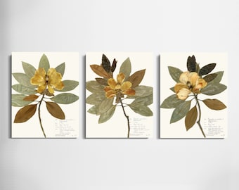Pressed Magnolia Print Set of 3; physical print of pressed flowers handmade art modern farmhouse décor botanical gallery wall neutral colors