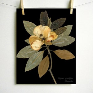 Imprimé magnolia Impression d'herbier d'art de fleurs pressées Art de magnolia pressé, ferme d'art mural, impression botanique, décor de feuilles et de magnolia blanc Dark (no label)