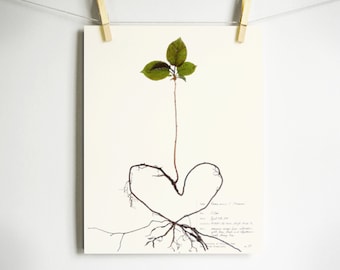 Impression de cerisier; Saint Valentin cadeau jour de la terre art imprimé végétal pressé avec des racines en forme de coeur bébé arbre art botanique décor de pépinière