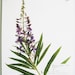 Fireweed Print Purple Wildflower Print Pressed Plant Art - Etsy