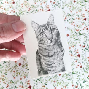 Puede incluir: Un dibujo a lápiz en blanco y negro de un gato atigrado sobre un trozo de papel rectangular. El gato tiene ojos grandes y mira directamente al espectador. El papel se sostiene sobre un fondo floral.