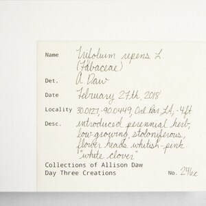 May include: A handwritten botanical identification card for Trifolium repens L. (Fabaceae) with the details: "Det. A Daw, February 27th, 2018, Locality 30.0127, -90.0449, Onl Par, LA; -1.2m, Desc. introduced perennial herb, low-growing, stoloniferous, flower heads whitish-pink. "white clover" Collections of Allison Daw, Day Three Creations, No. 246c"