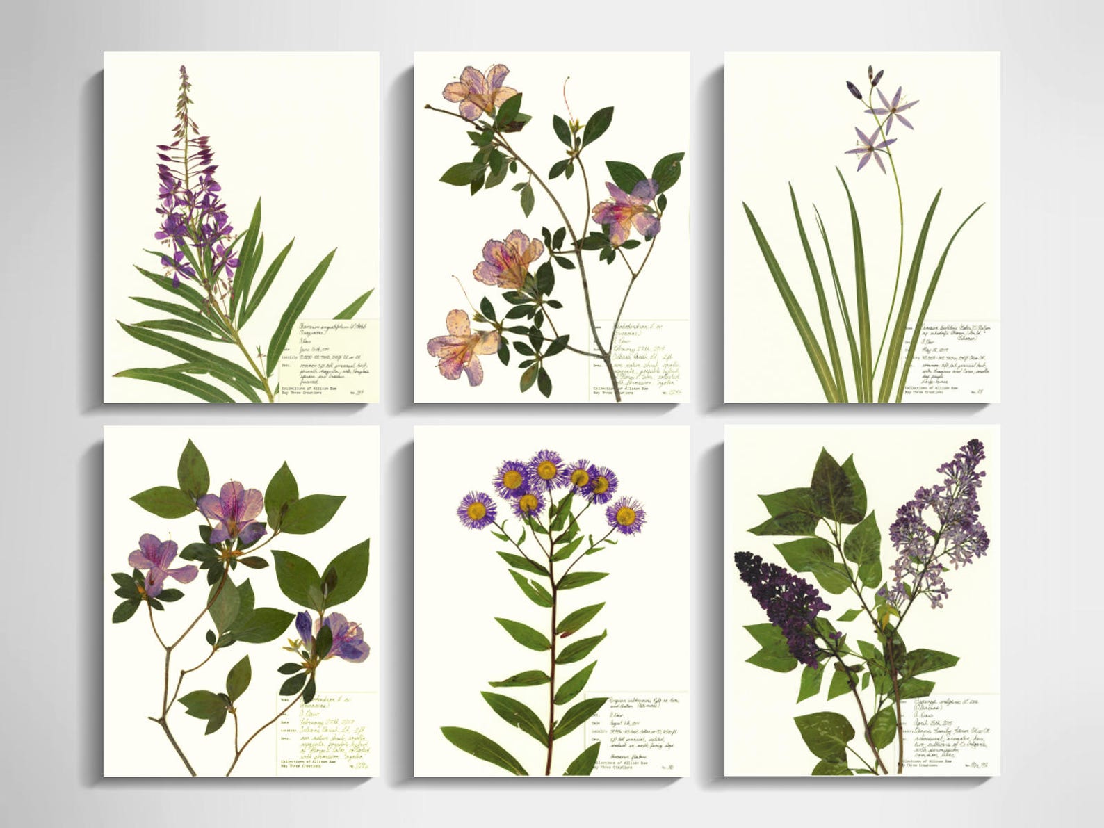 Purple Flower Print Set of 6; Purple Wall Art Purple Botanical Print ...