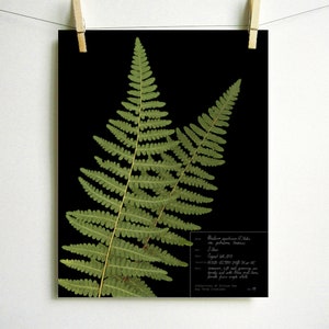 May include: A botanical print featuring two green fern fronds against a solid black background. A white rectangular box in the lower right corner contains handwritten text detailing the specimen, including the date August 14th, 2015.