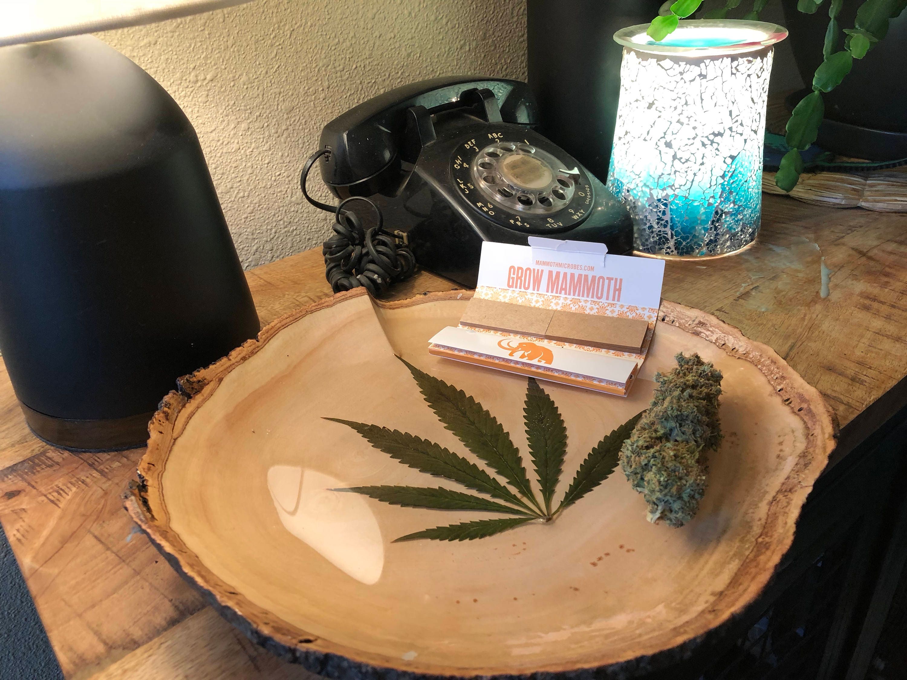 rolling tray cannabis leaves weed rolling tray. Not a stash Etsy