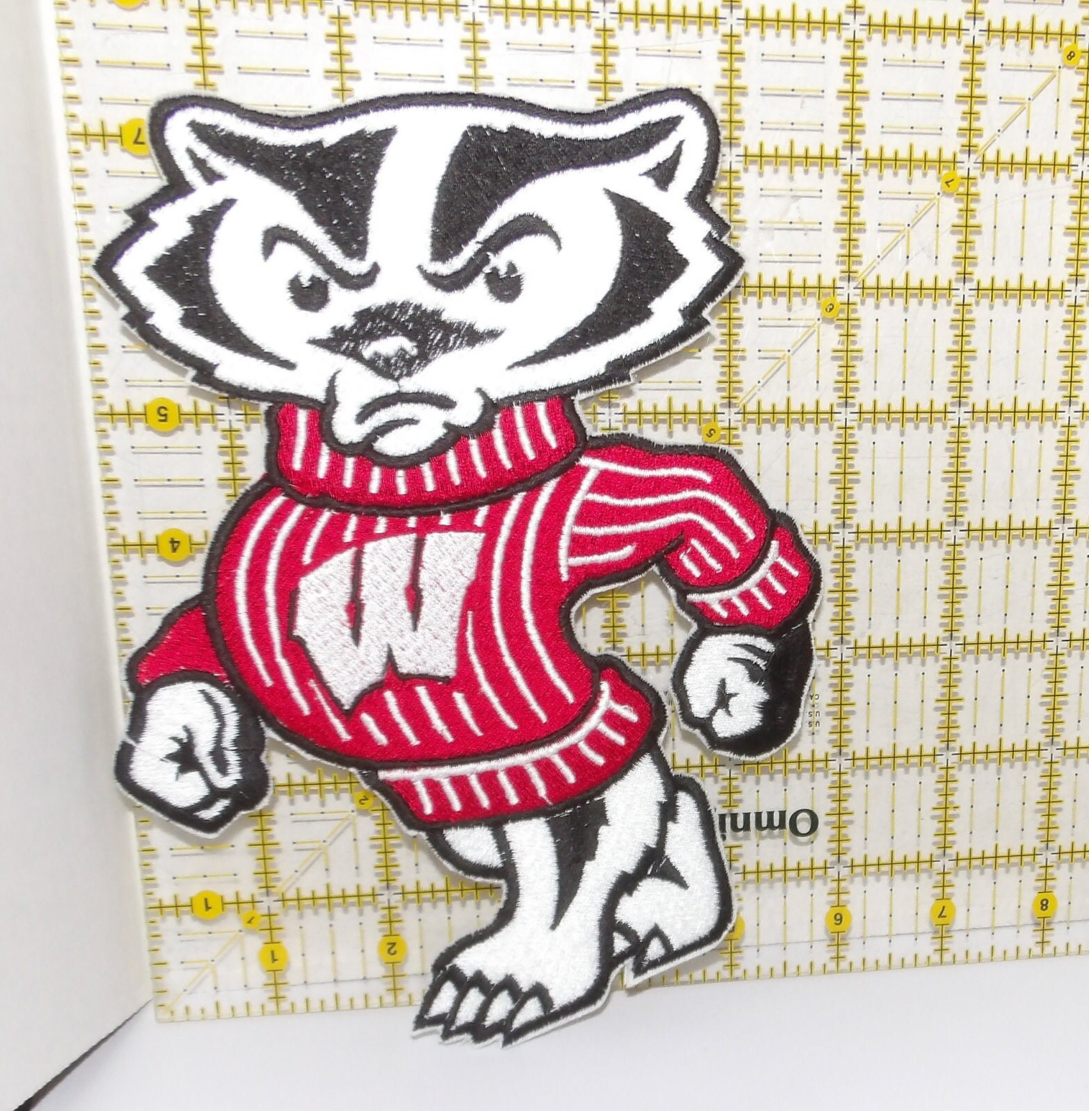 NCAA Wisconsin Badgers 3.12