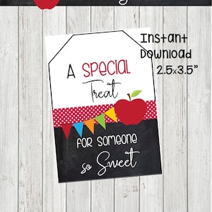 End of School Year Gift Tags, Teacher Appreciation Week, Last Day of School Gift Tags, A Special Treat for Someone So Sweet Tags, Digital