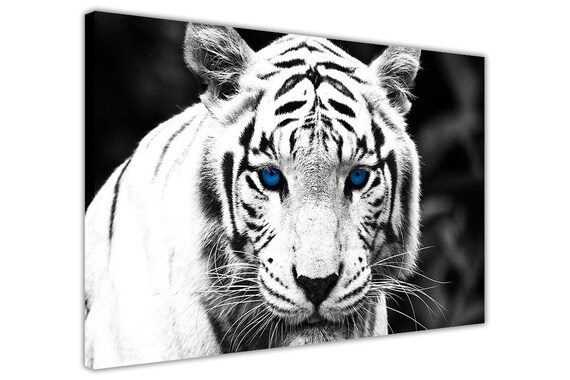 Weisser Tiger Mit Blauen Augen Auf Gerahmter Leinwand Wandkunst Etsy
