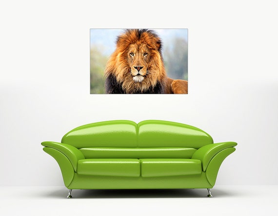 WILD AFRICAN LION CANVAS PICTURES WALL ART PRINTS NATURE PHOTO ANIMAL PRINTING
