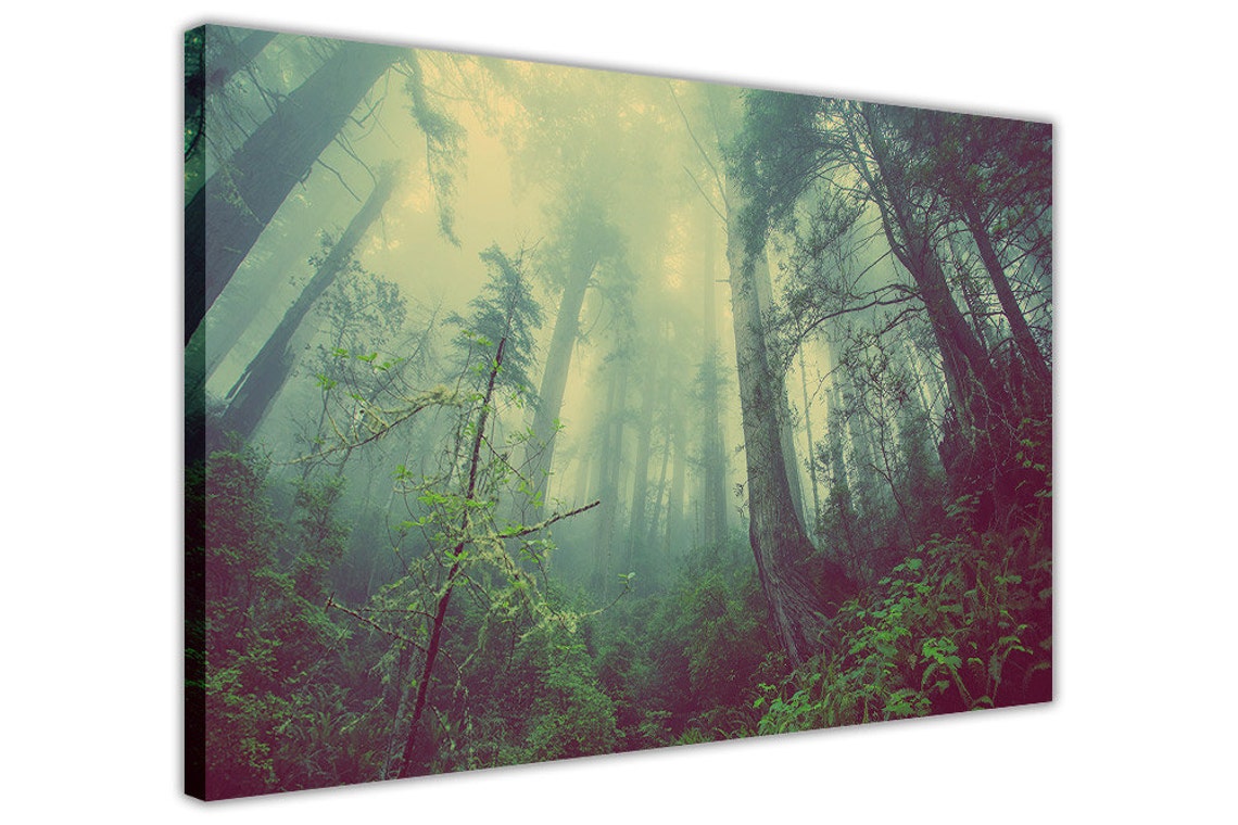 Misty Forest Landscape Canvas Art Prints Home Decoration Etsy