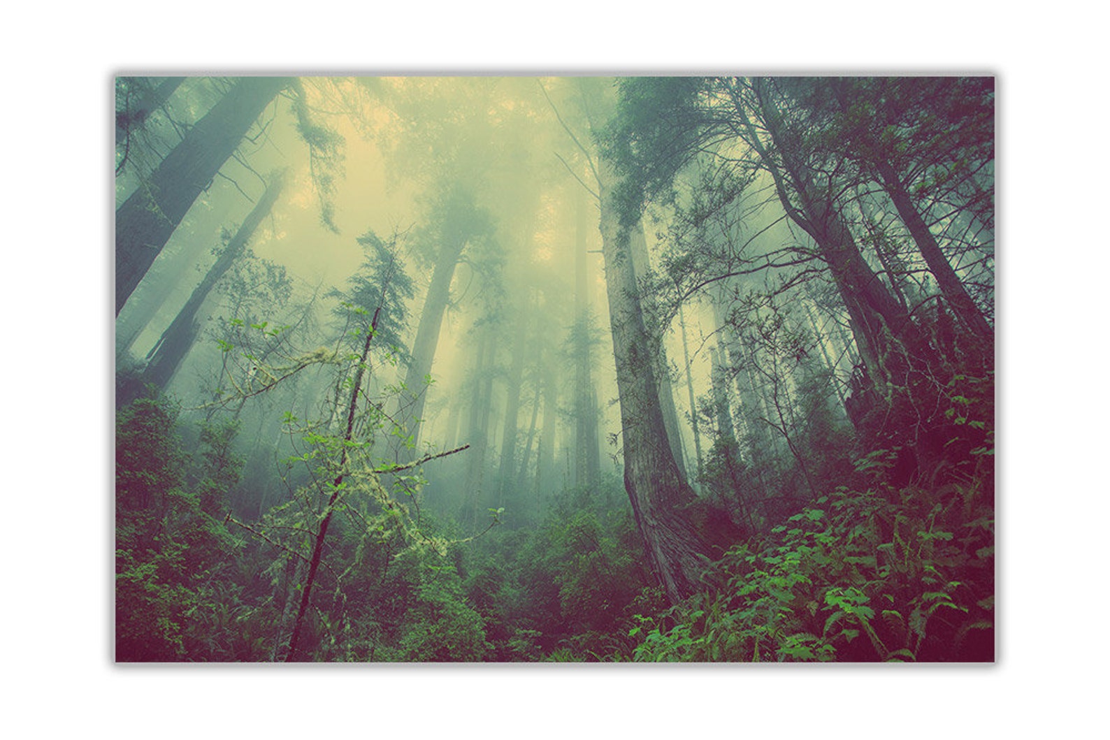Misty Forest Landscape Canvas Art Prints Home Decoration Etsy