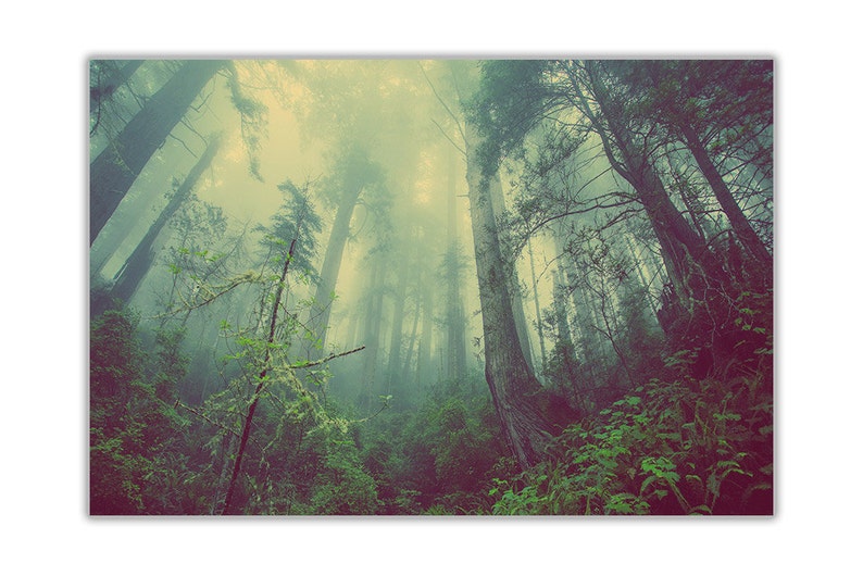 40 X 30 101CM X 76CM Misty Forest Landscape Canvas Art Prints Home Decoration Framed Pictures Modern Art Posters Nature Photos Size